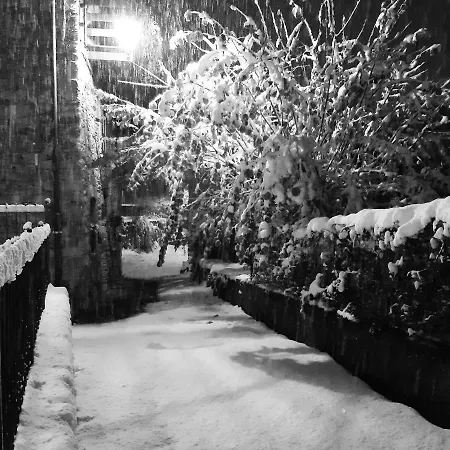 Le Mie Radici Bed & Breakfast *